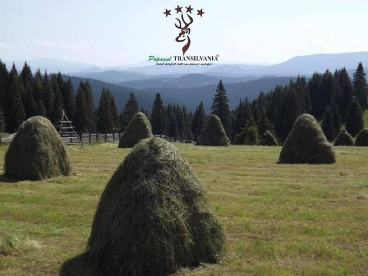Popasul Transilvania Piatra Fantanele Buitenkant foto